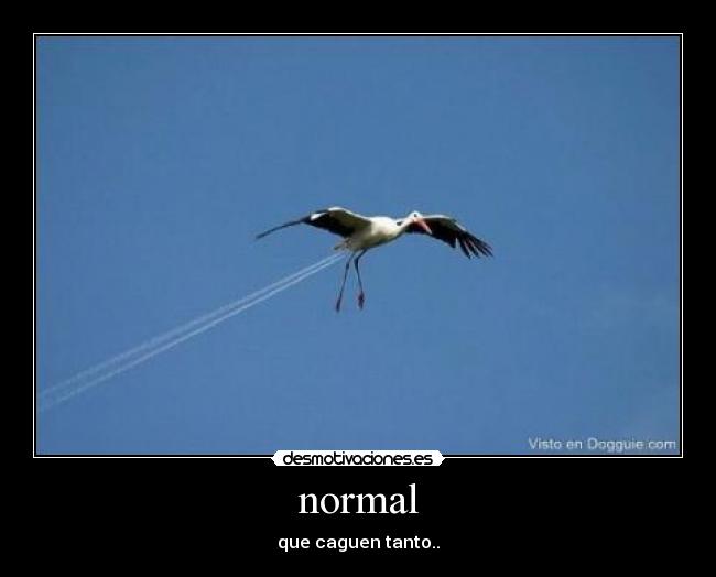 normal - que caguen tanto..
