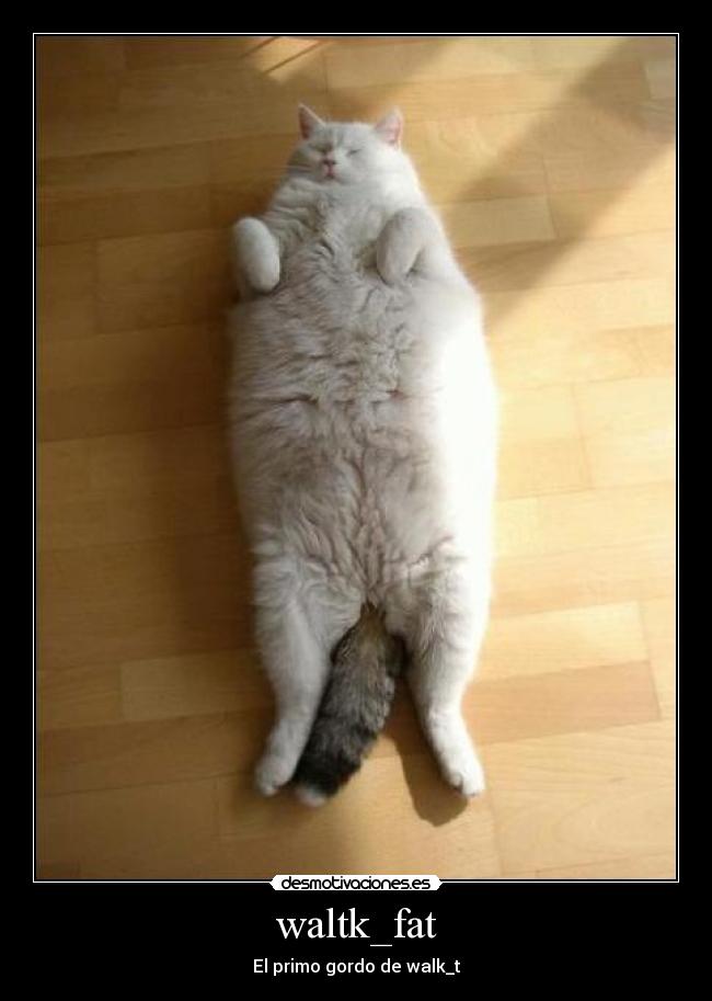 waltk_fat -