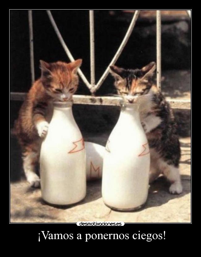 ¡Vamos a ponernos ciegos! -