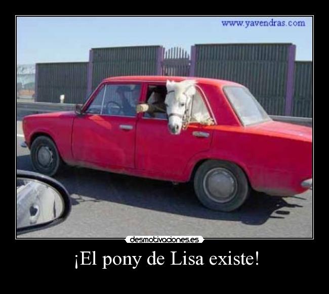 ¡El pony de Lisa existe! -
