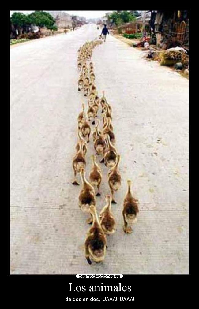 Los animales -