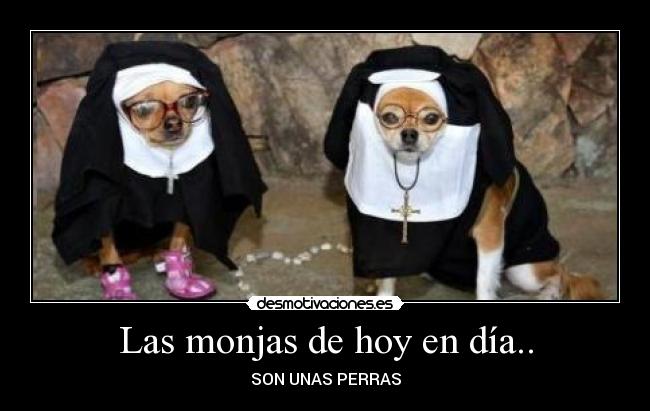 Las monjas de hoy en día.. - SON UNAS PERRAS