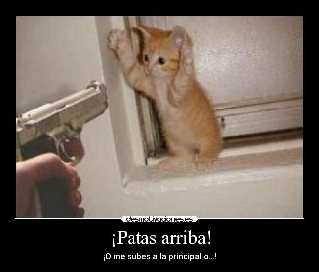¡Patas arriba! - ¡O me subes a la principal o...!
