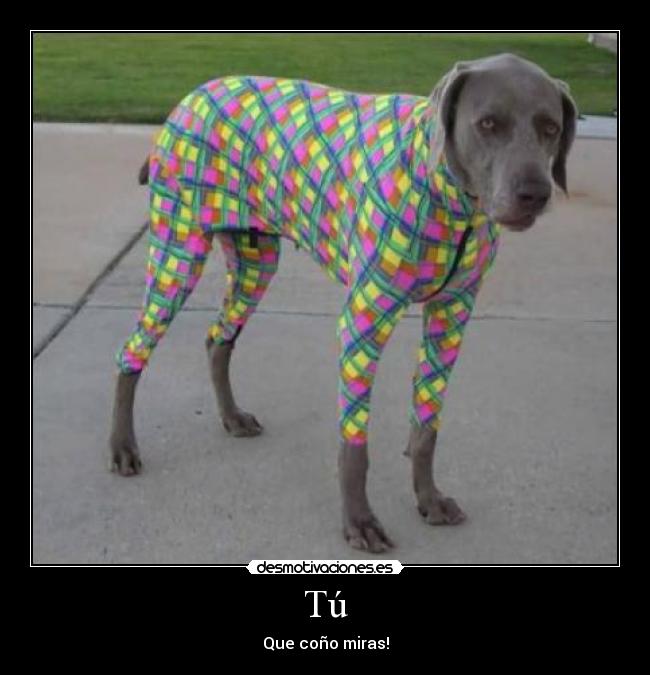 Tú - Que coño miras!