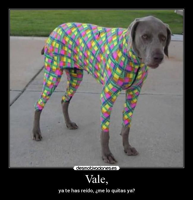Vale, - ya te has reído, ¿me lo quitas ya?