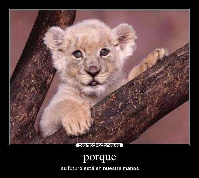 porque - su futuro está en nuestra manos