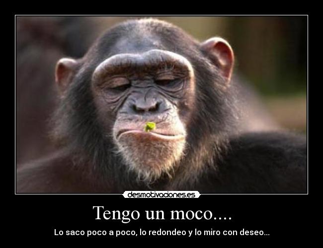 Tengo un moco.... - Lo saco poco a poco, lo redondeo y lo miro con deseo...