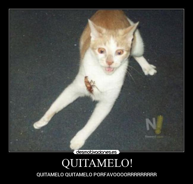 QUITAMELO! - QUITAMELO QUITAMELO PORFAVOOOORRRRRRRRR