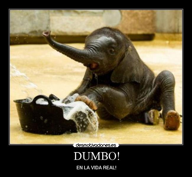 DUMBO! - EN LA VIDA REAL!