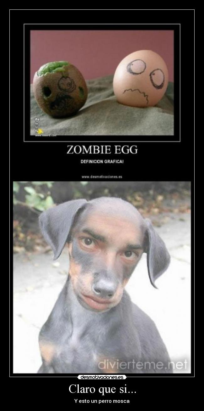 Claro que si... - Y esto un perro mosca