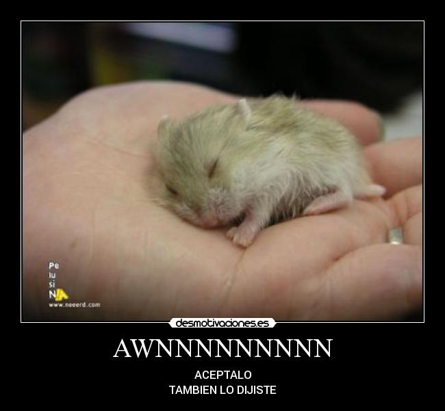 AWNNNNNNNNN - ACEPTALO
TAMBIEN LO DIJISTE