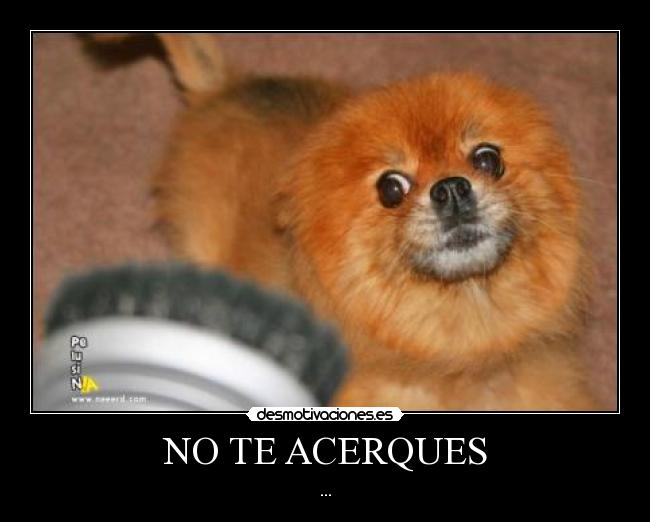 NO TE ACERQUES - ...
