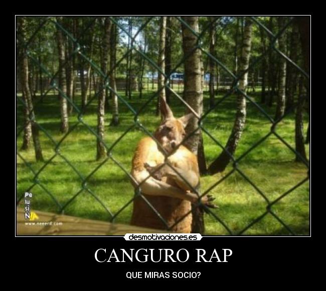 CANGURO RAP - QUE MIRAS SOCIO?