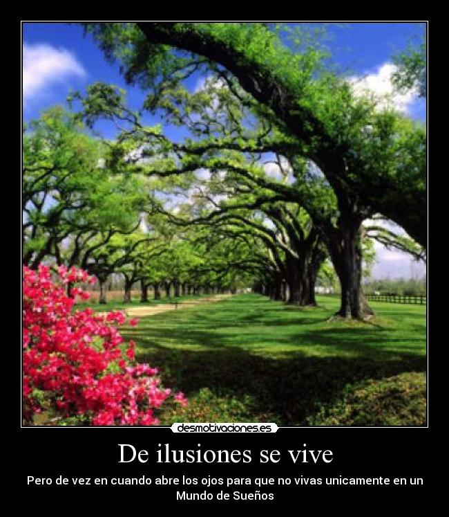 De ilusiones se vive -