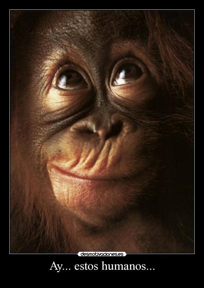 Ay... estos humanos... -