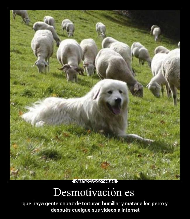Desmotivación es -
