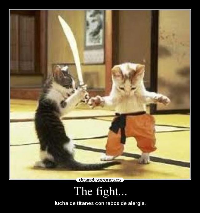 The fight... - lucha de titanes con rabos de alergia.