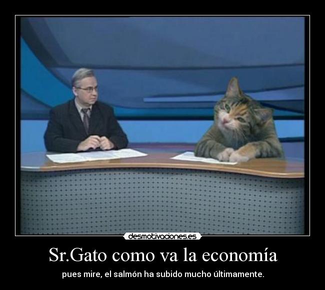 Sr.Gato como va la economía -