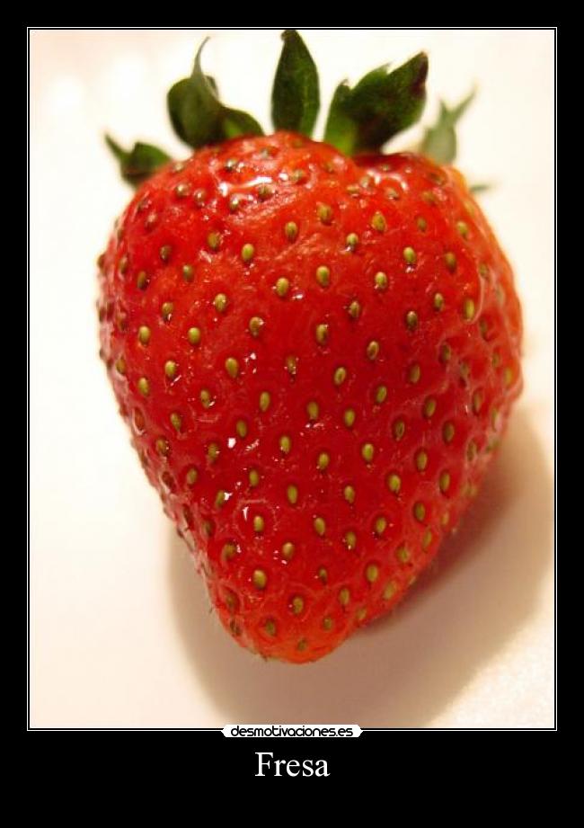 Fresa - 