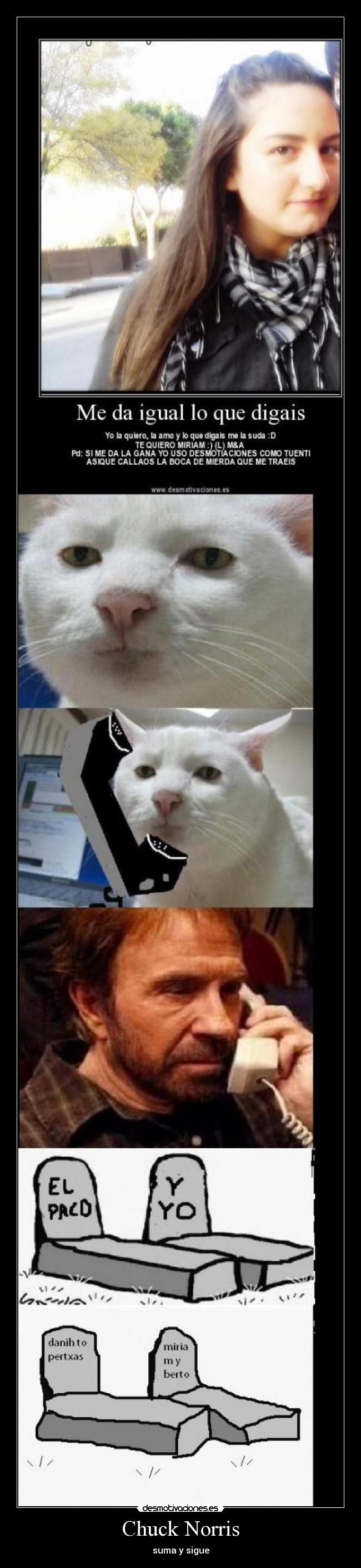 carteles chuck norris paco muerte desmotivaciones