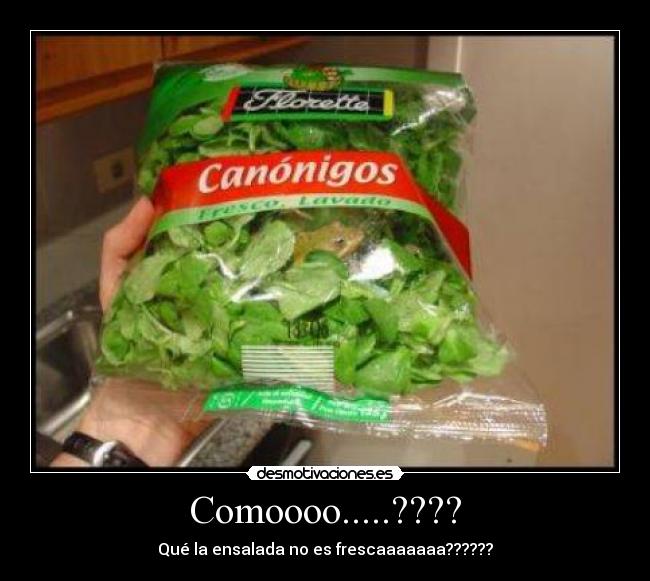 Comoooo.....???? - Qué la ensalada no es frescaaaaaaa??????