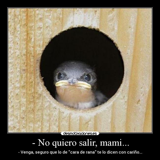 - No quiero salir, mami... - - Venga, seguro que lo de cara de rana te lo dicen con cariño...