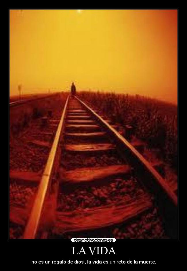 LA VIDA - 