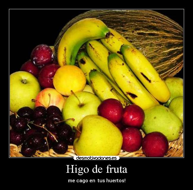 Higo de fruta - 