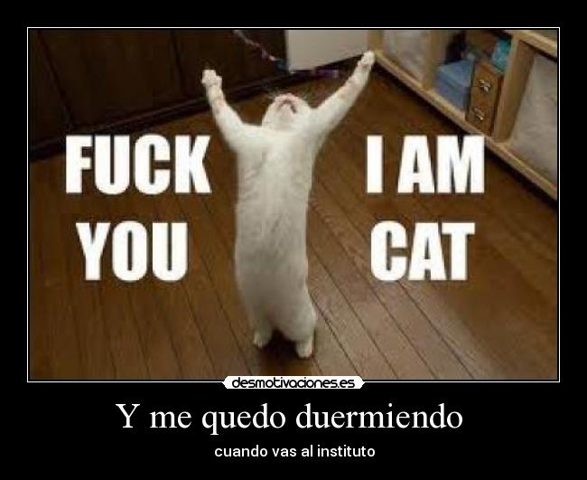 Y me quedo duermiendo - cuando vas al instituto