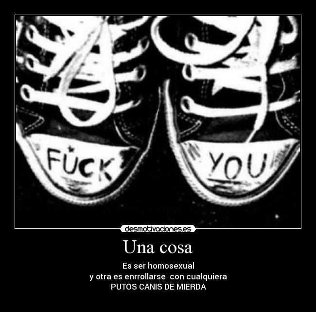 Una cosa - Es ser homosexual
y otra es enrrollarse  con cualquiera
PUTOS CANIS DE MIERDA
