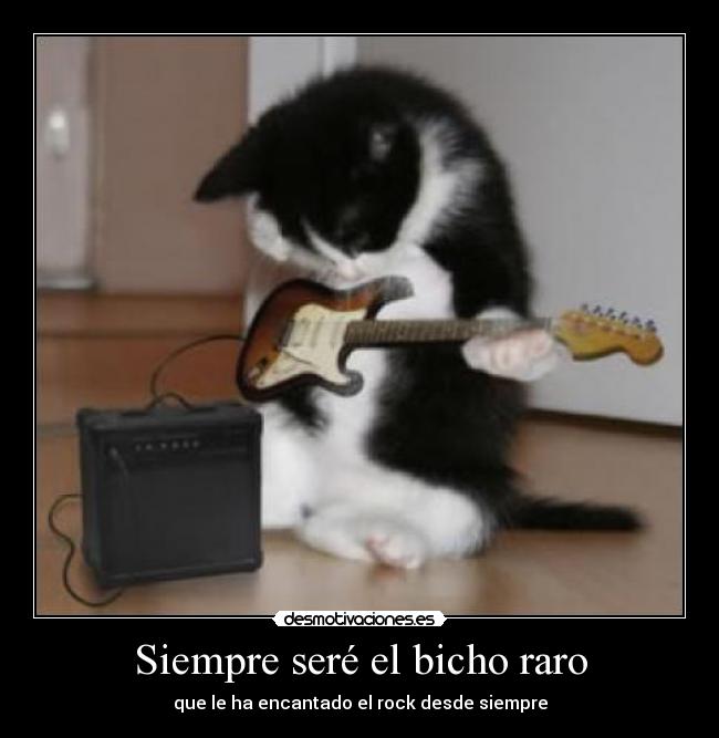 Siempre seré el bicho raro -