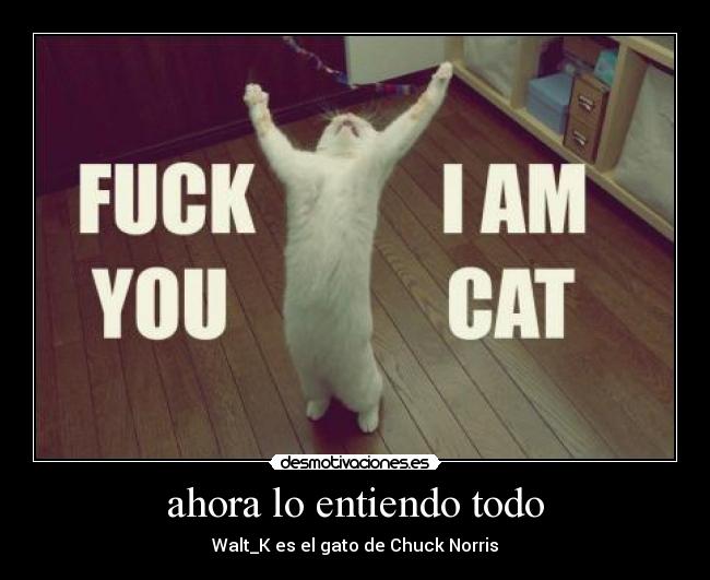 ahora lo entiendo todo - Walt_K es el gato de Chuck Norris