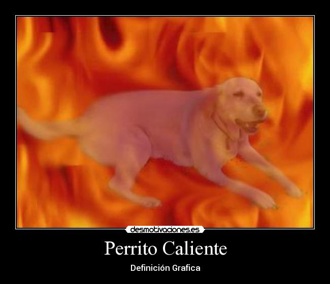 Perrito Caliente - Definición Grafica