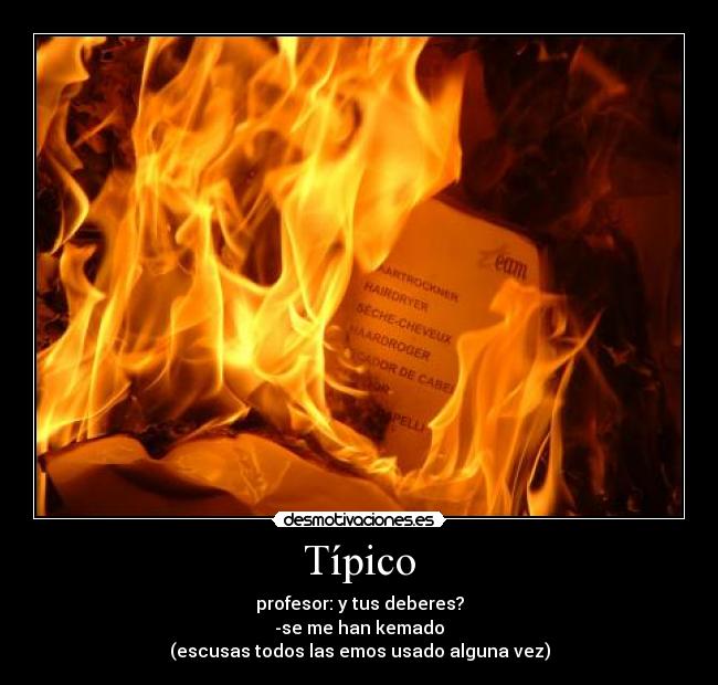 carteles tipico desmotivaciones