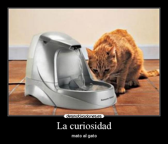 La curiosidad -