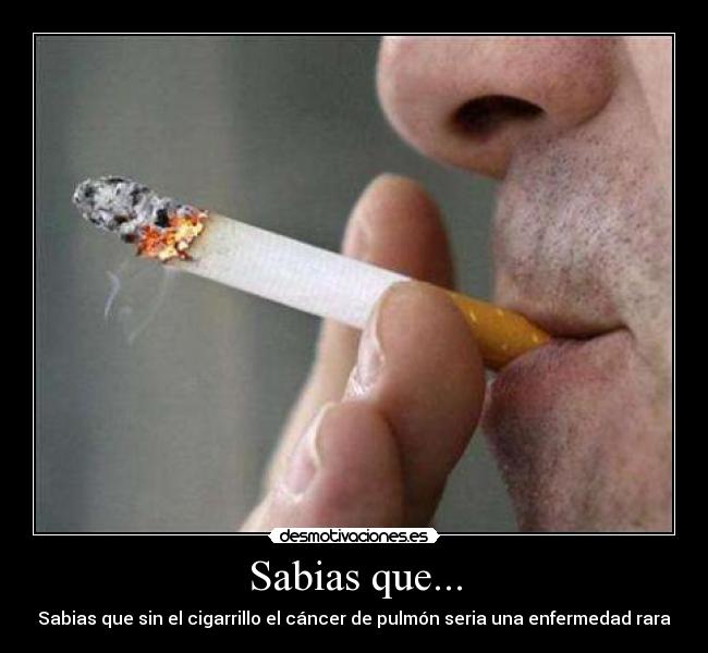 Sabias que... - Sabias que sin el cigarrillo el cáncer de pulmón seria una enfermedad rara