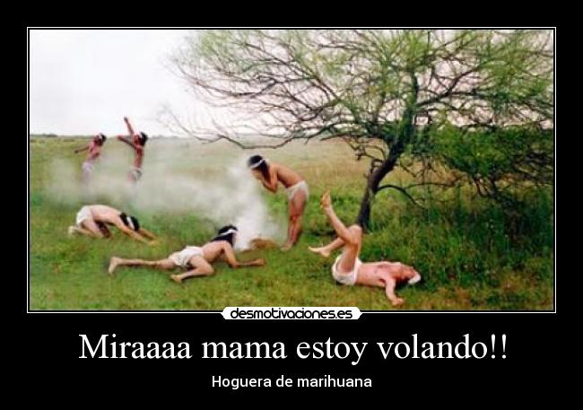 Miraaaa mama estoy volando!! - Hoguera de marihuana