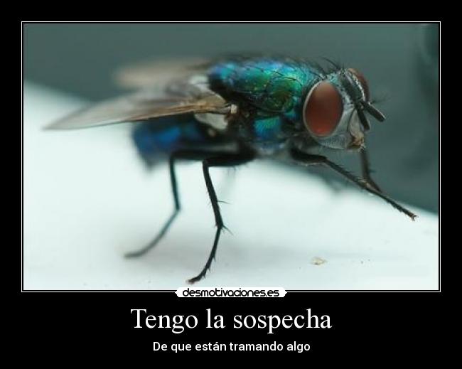 Tengo la sospecha -