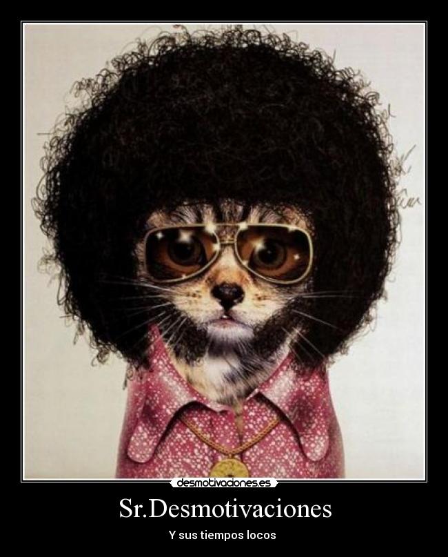 Sr.Desmotivaciones - Y sus tiempos locos 