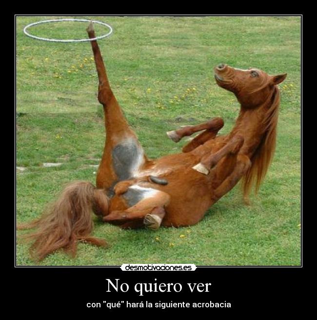 Como referirse la muchacha a un pequeño miembro