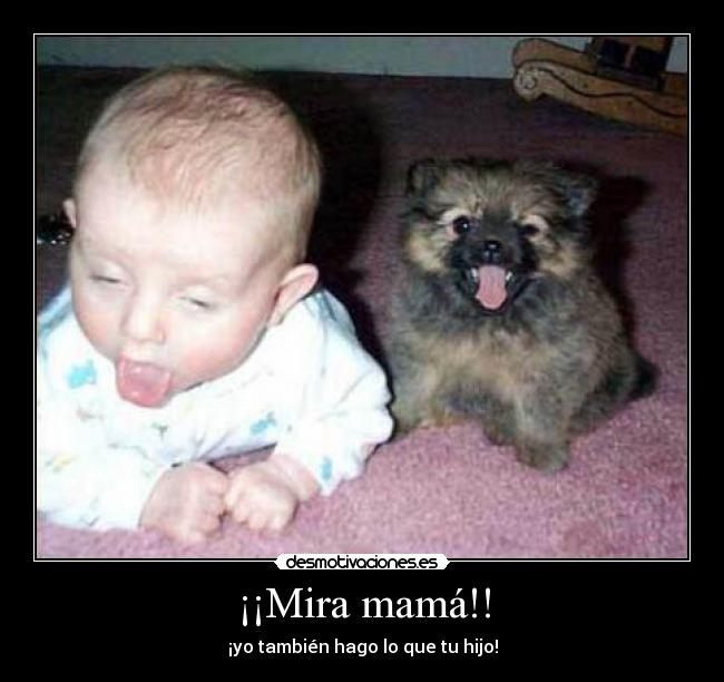 ¡¡Mira mamá!! - ¡yo también hago lo que tu hijo!