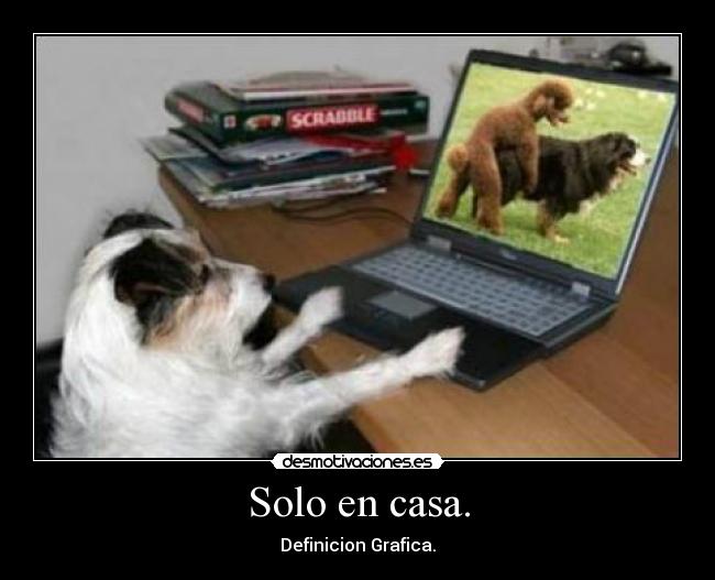 Solo en casa. -