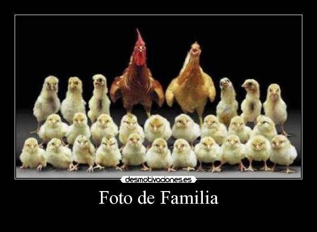 Foto de Familia -