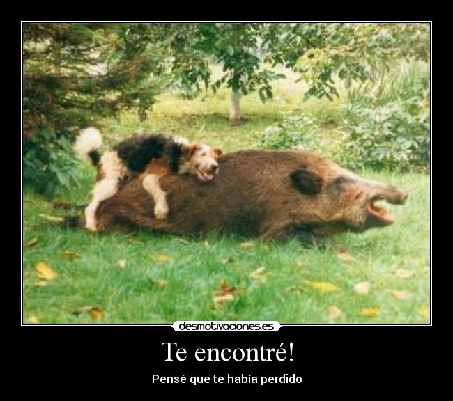 Te encontré! -