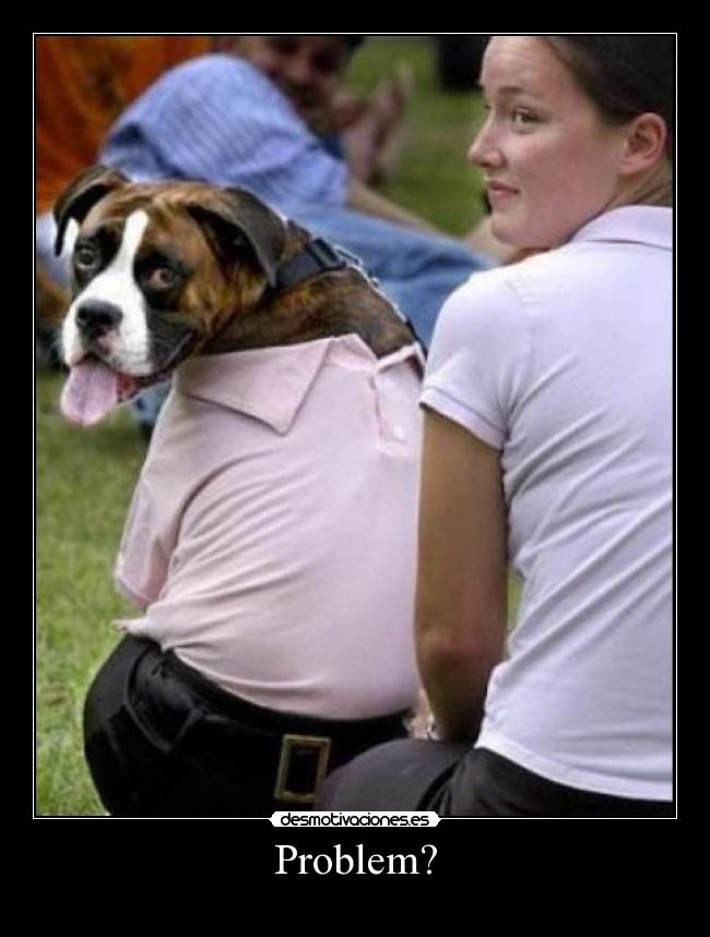 carteles perro problem troll face rob desmotivaciones