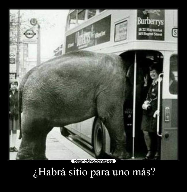 carteles elefante autobus rob uno mas desmotivaciones