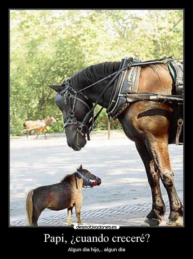 Papi, ¿cuando creceré? - 