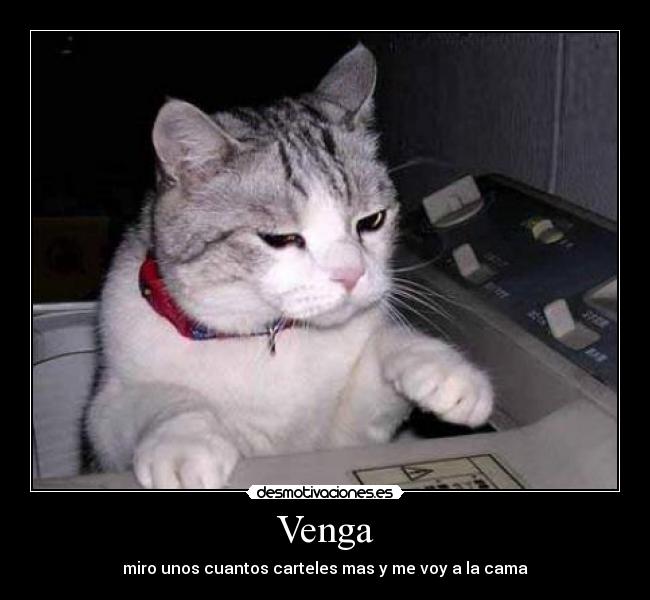 Venga - 