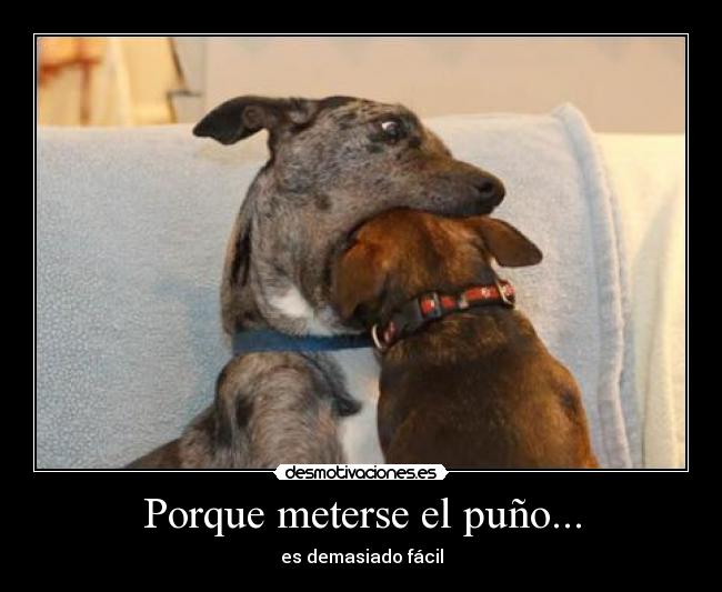 Porque meterse el puño... - 