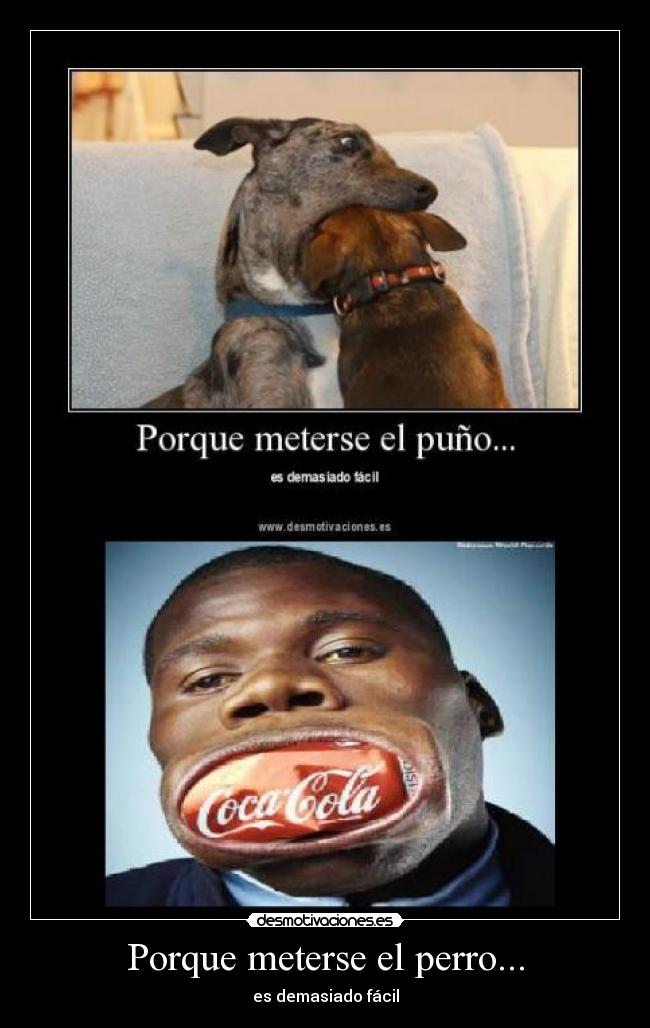 Porque meterse el perro... - 